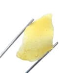 Violator Kush Shatter