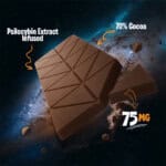 House Psilocybin Extract Chocolate - 1500mg