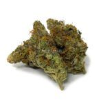 Enigma Extracts - LSO Pink Rockstar x Slurricane - AAAA