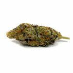 Enigma Extracts - LSO Pink Rockstar x Slurricane - AAAA