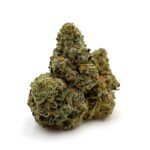 Peanut Butter - Smalls