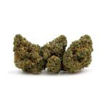 Peanut Butter - Smalls