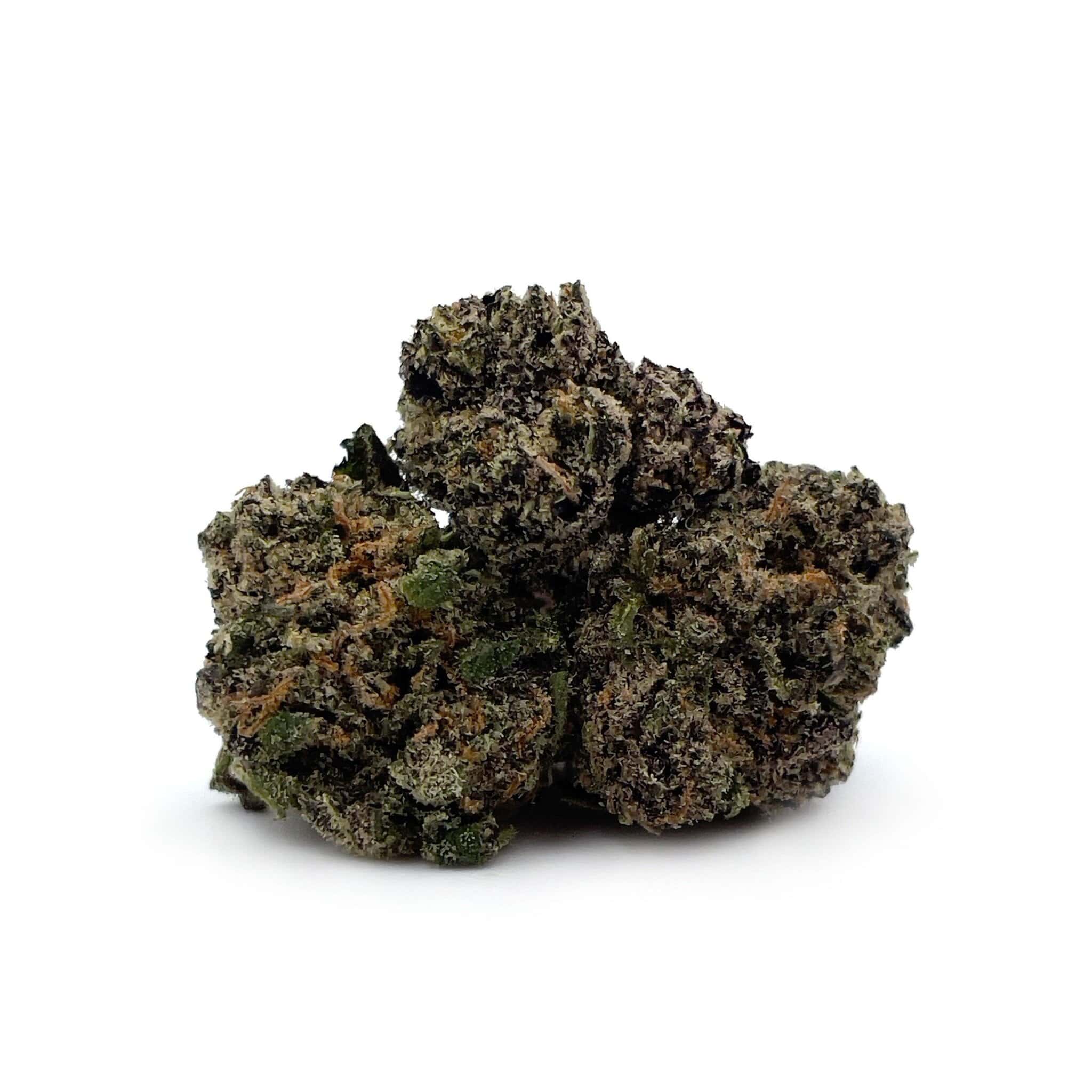 Purple Bud