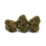 Rainbow Chip - Smalls