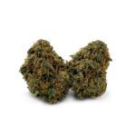 Rainbow Chip - Smalls