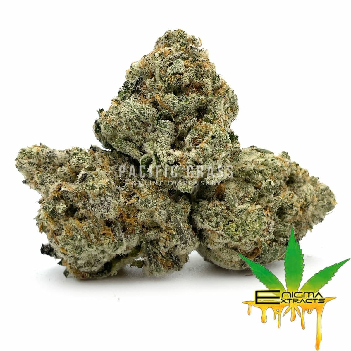 Enigma Extracts - Baker's Delight