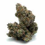 Enigma Extracts - Rockstar