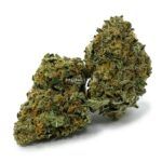 Enigma Extracts - Sherb Breath - AAAA