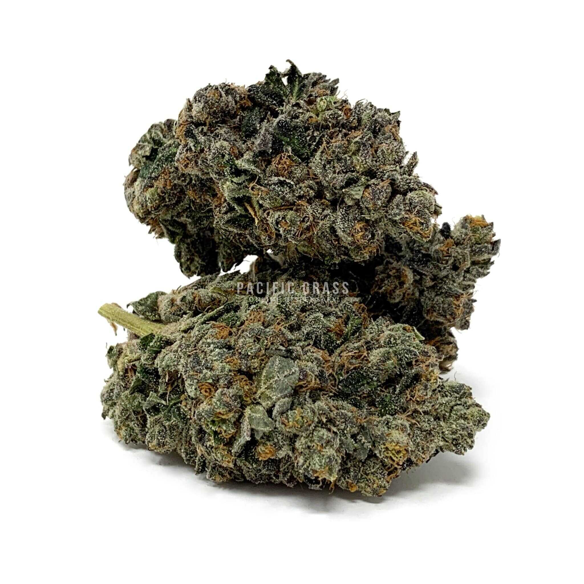 Sun Peaks Cultivation - Chemdog Skunk