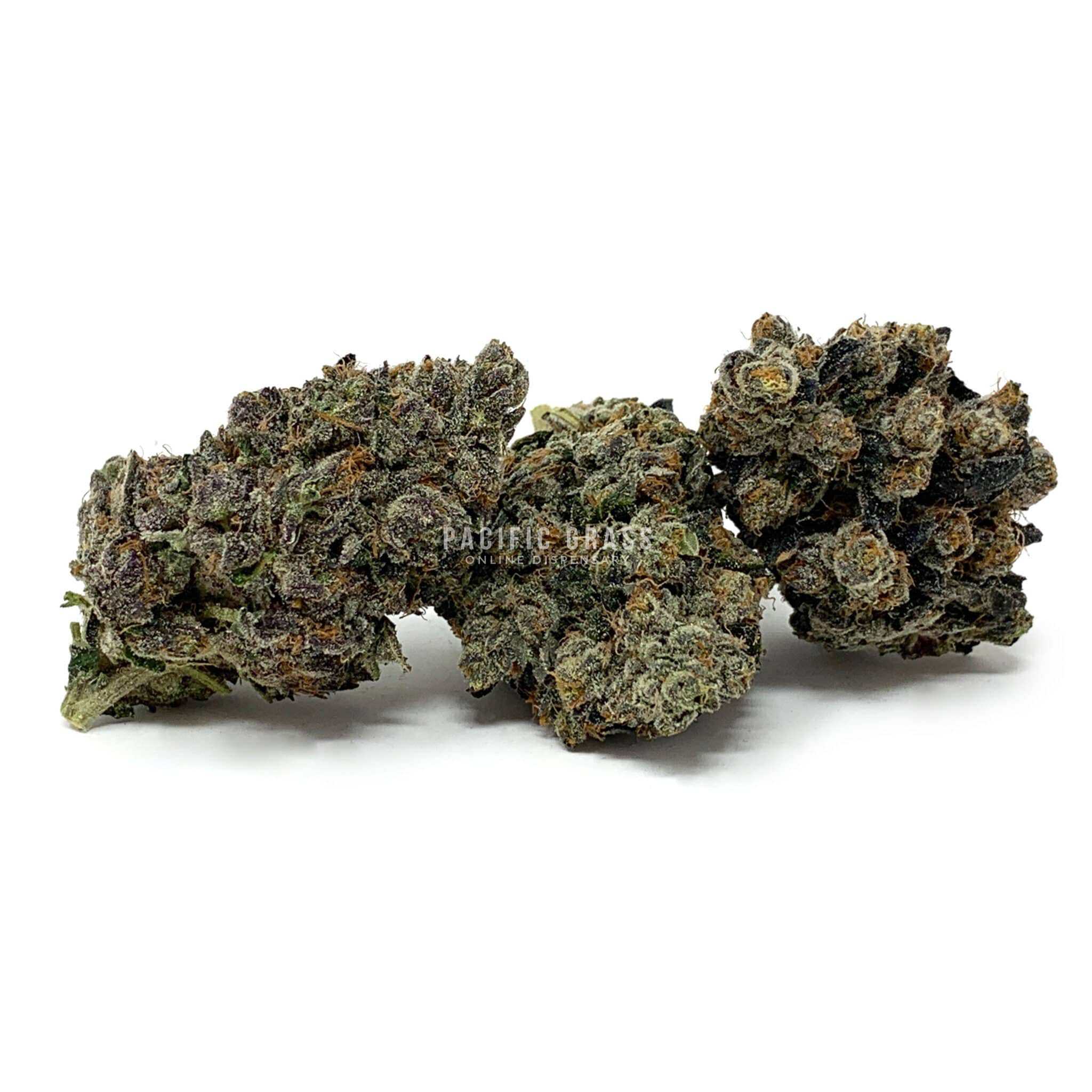 Sun Peaks Cultivation - Chemdog Skunk