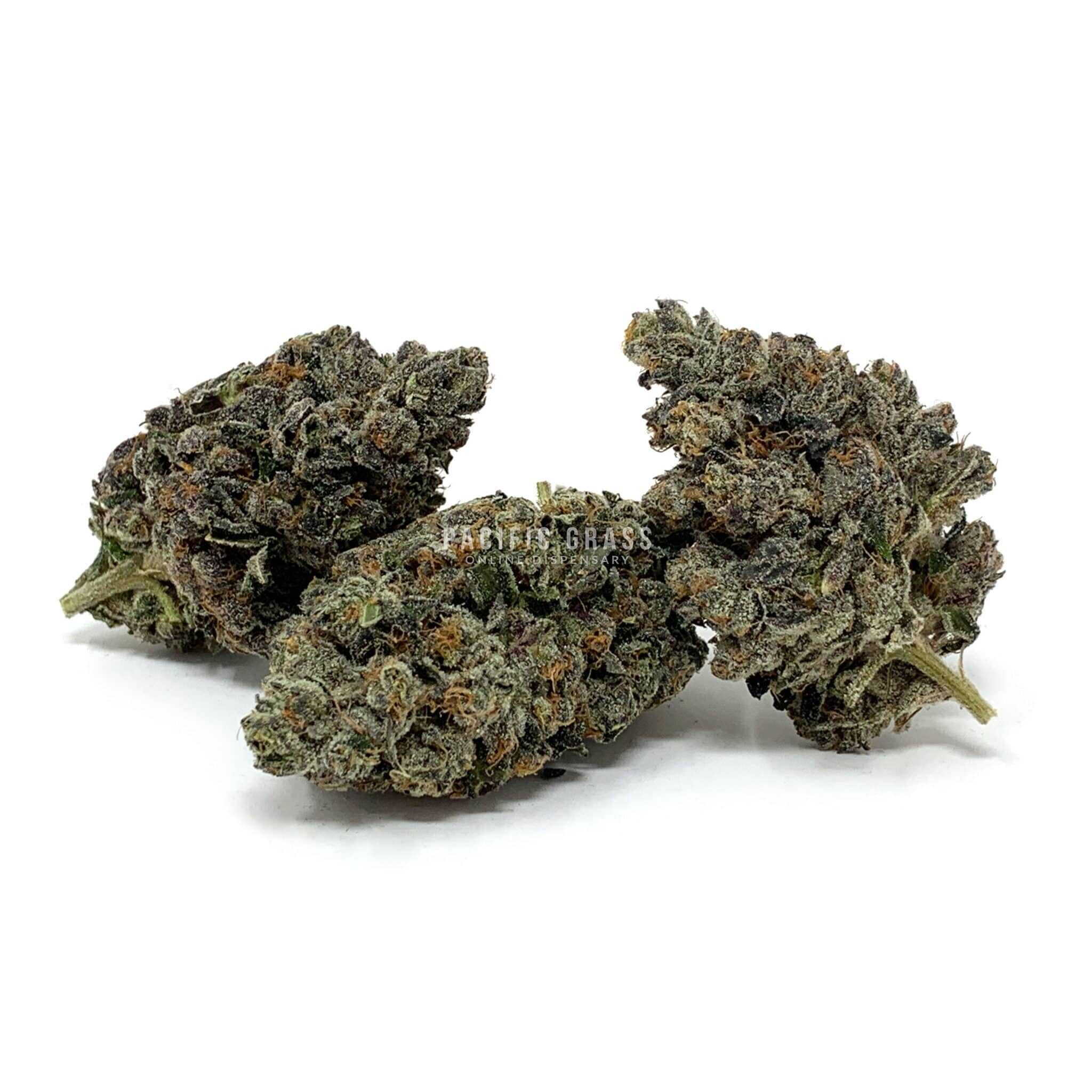 Sun Peaks Cultivation - Chemdog Skunk