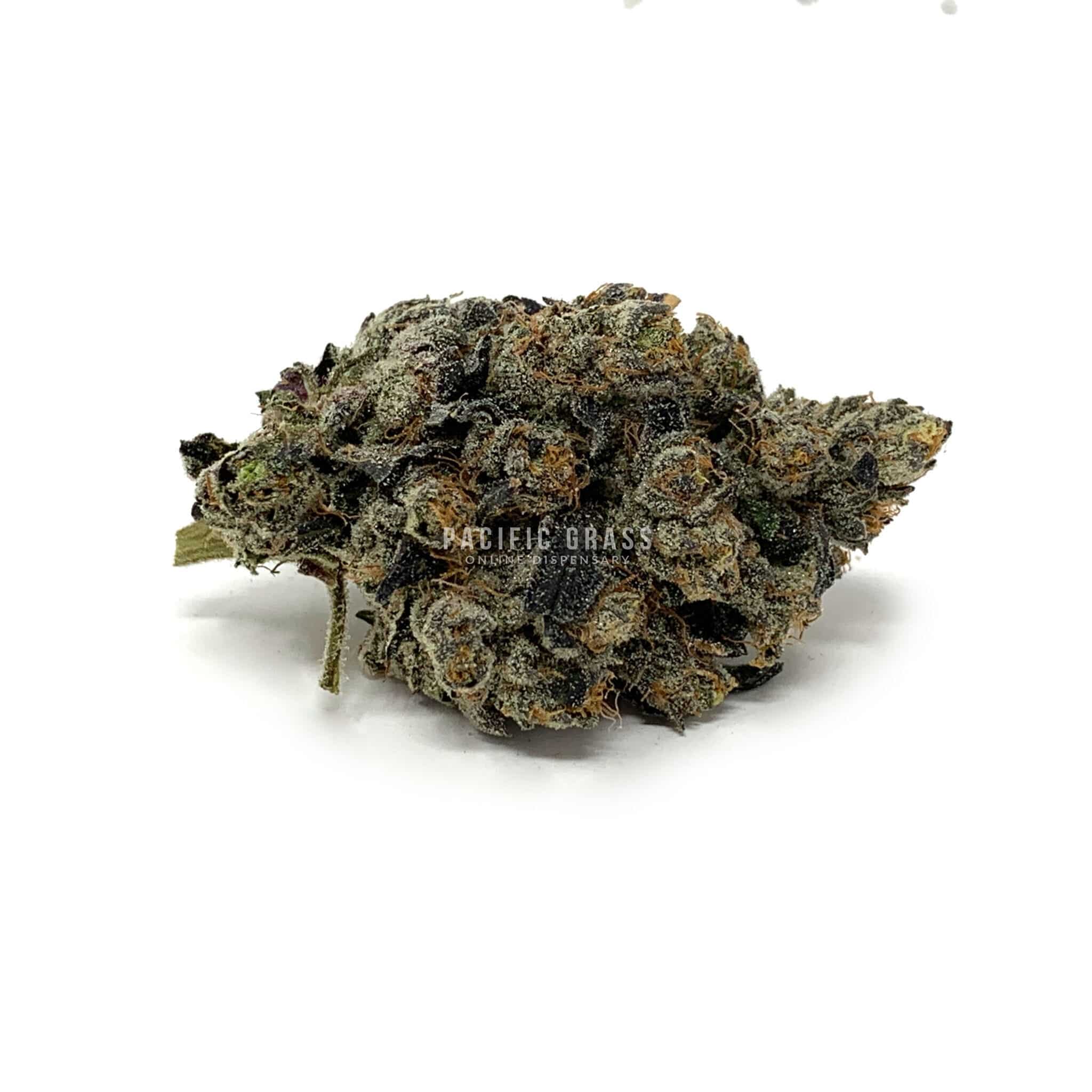 Sun Peaks Cultivation - Chemdog Skunk
