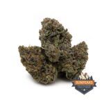 Sun Peaks Cultivation - Frosted Gelato