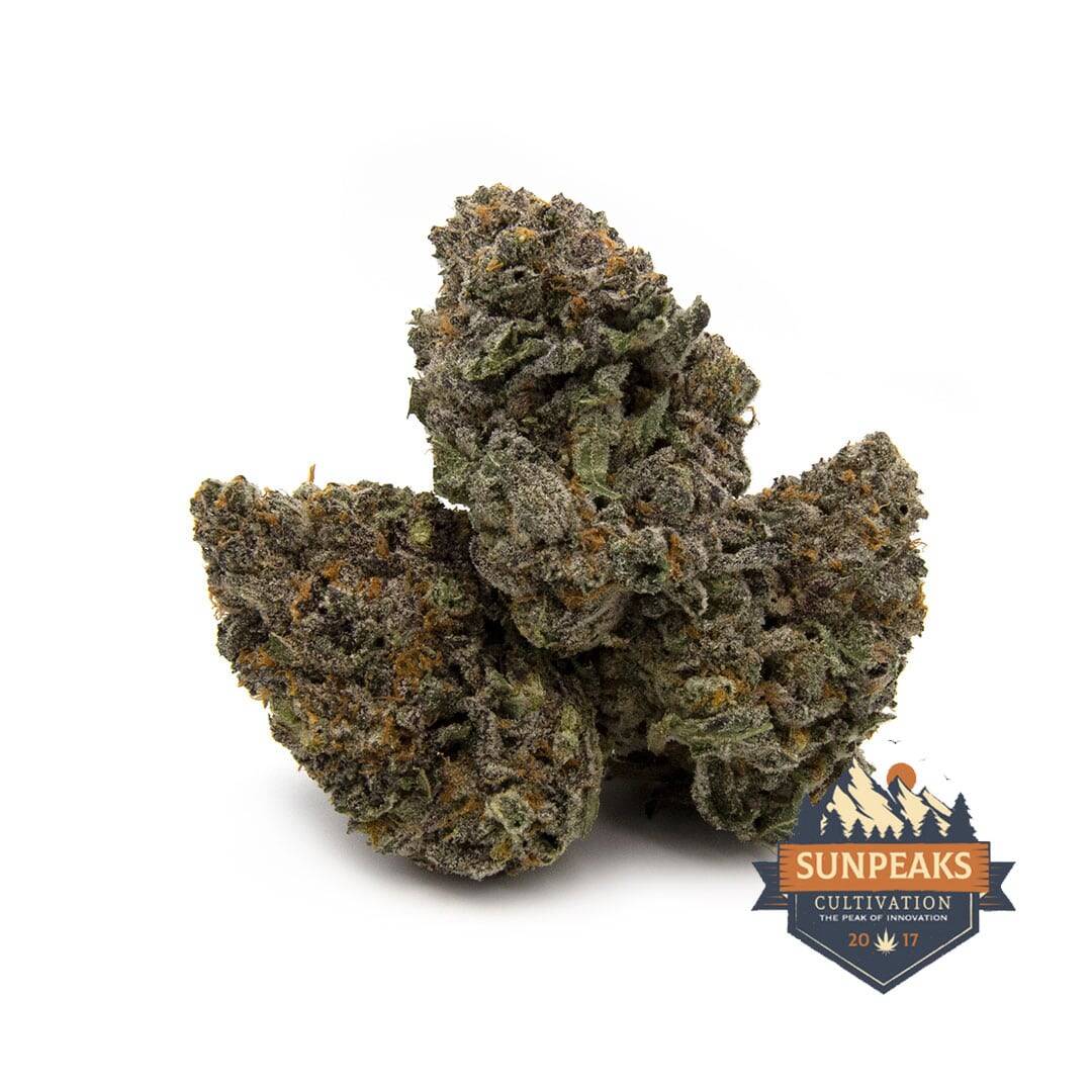 Sun Peaks Cultivation - Frosted Gelato