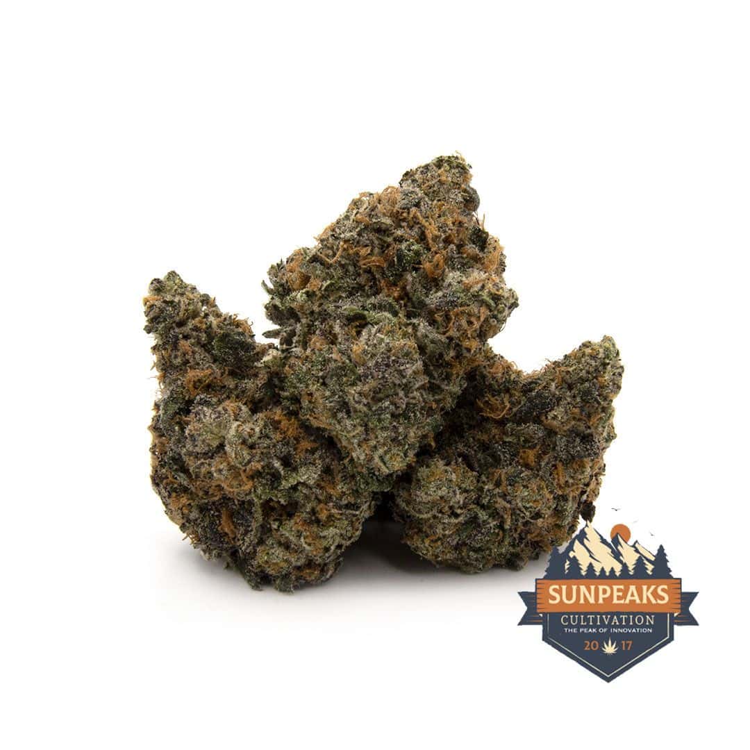 Sun Peaks Cultivation - Lava Cake