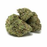 Sun Peaks Cultivation - Gelato