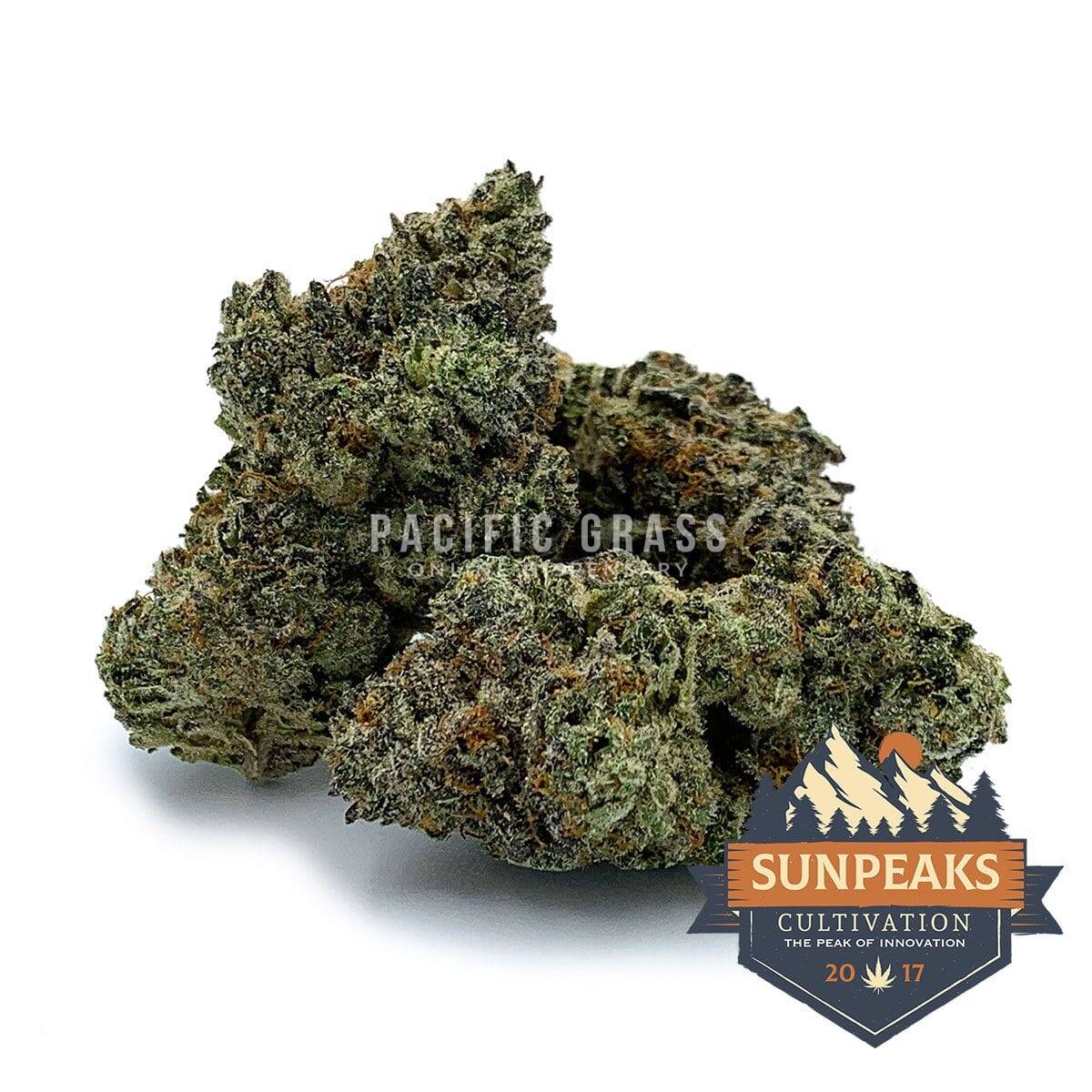 Sun Peaks Cultivation - Gorilla Glue