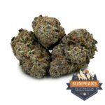 Sun Peaks Cultivation - Grape Pie