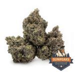 Sun Peaks Cultivation - Gelatti