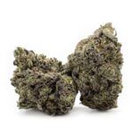 Sun Peaks Cultivation - Gelatti