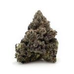 Sun Peaks Cultivation - Gelatti