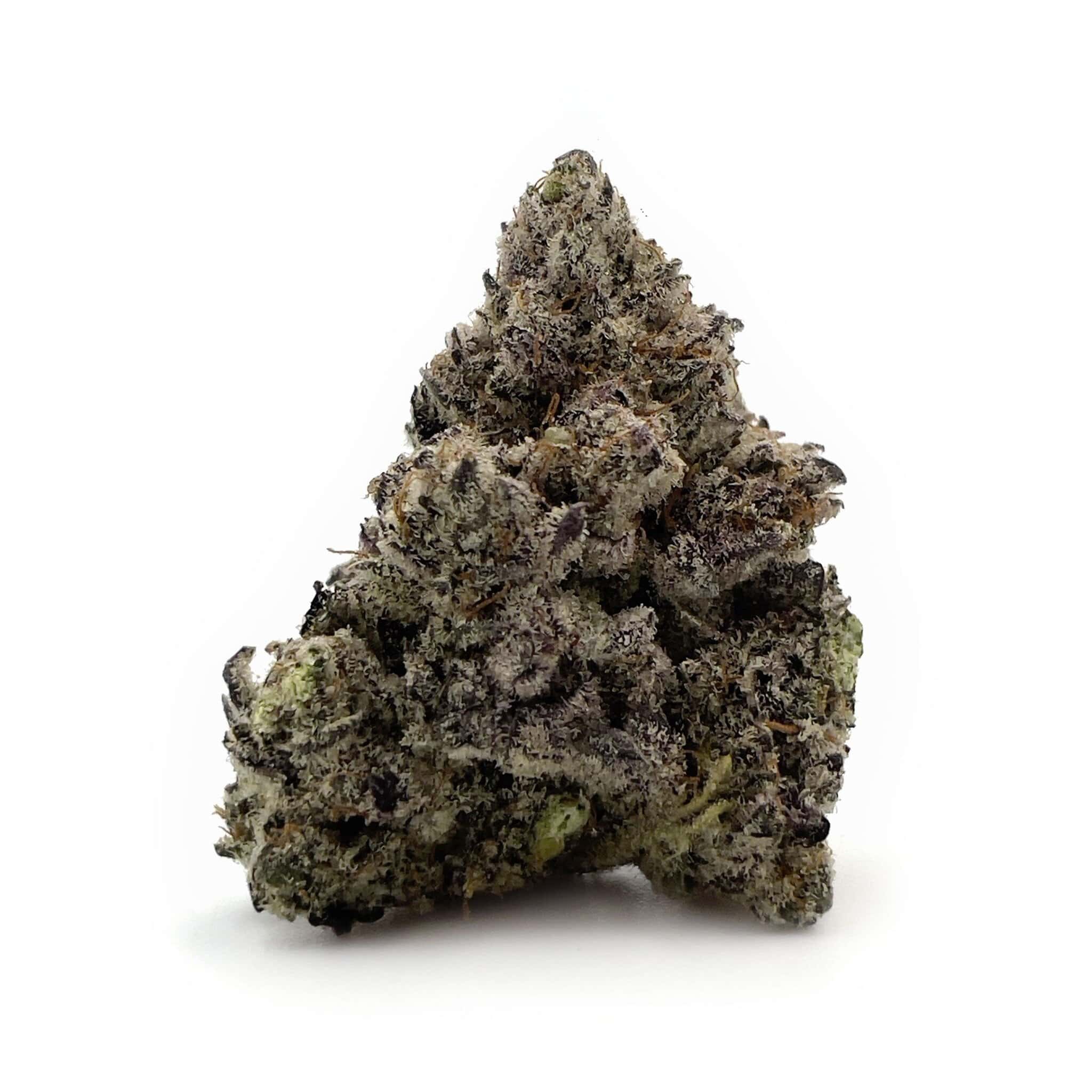 Sun Peaks Cultivation - Gelatti