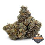 Sun Peaks Cultivation - Grape God