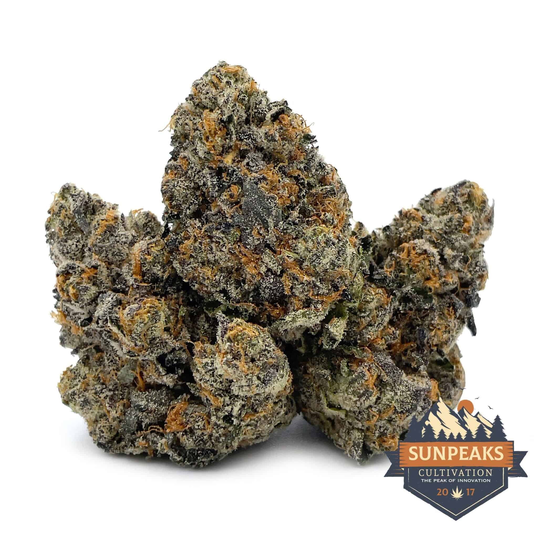 Sun Peaks Cultivation - Jokerz