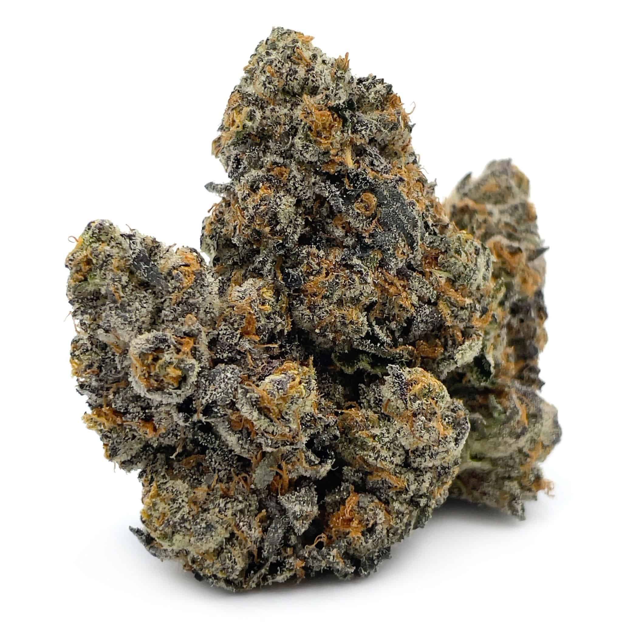 Sun Peaks Cultivation - Jokerz