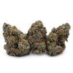 Sun Peaks Cultivation - Jokerz