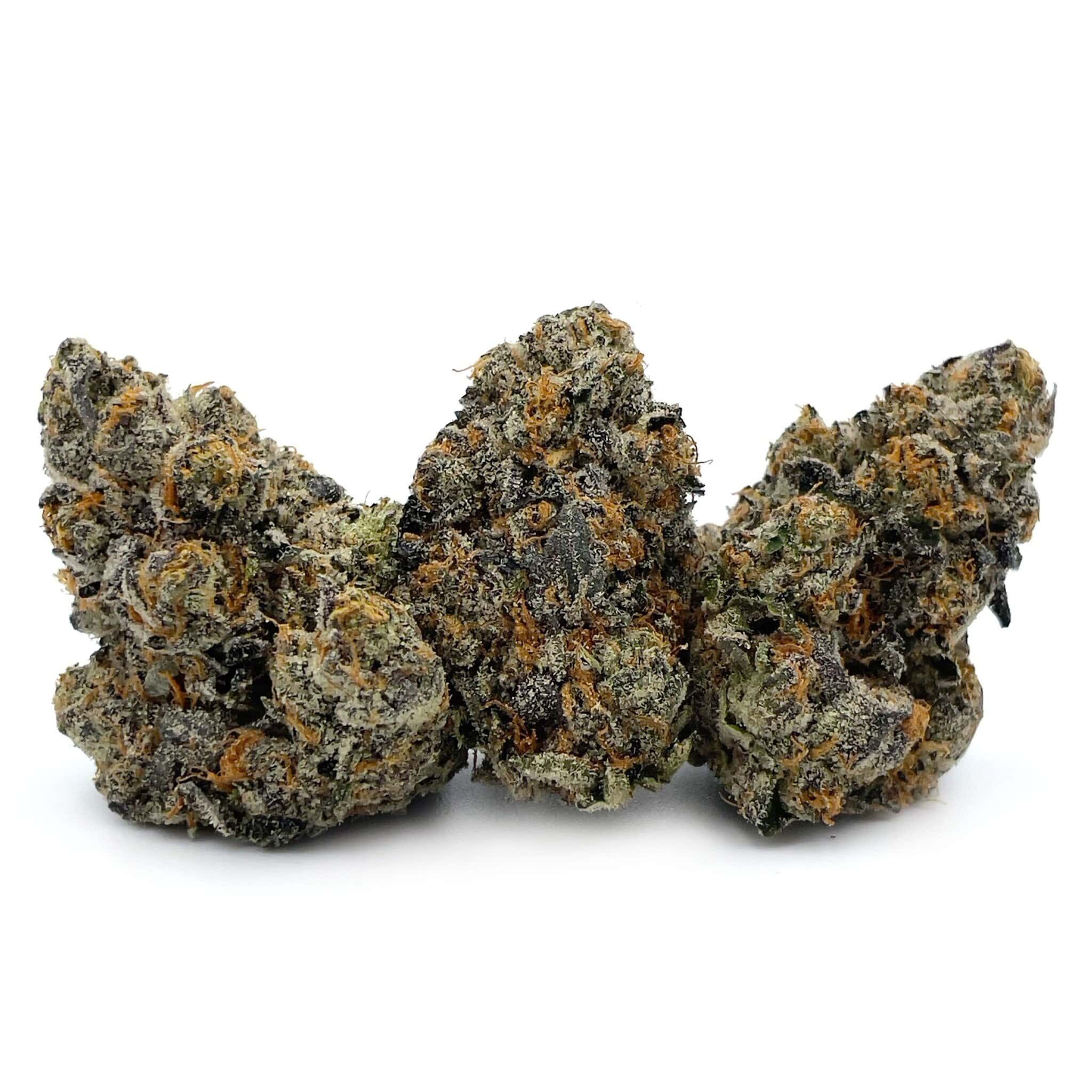 Sun Peaks Cultivation - Jokerz