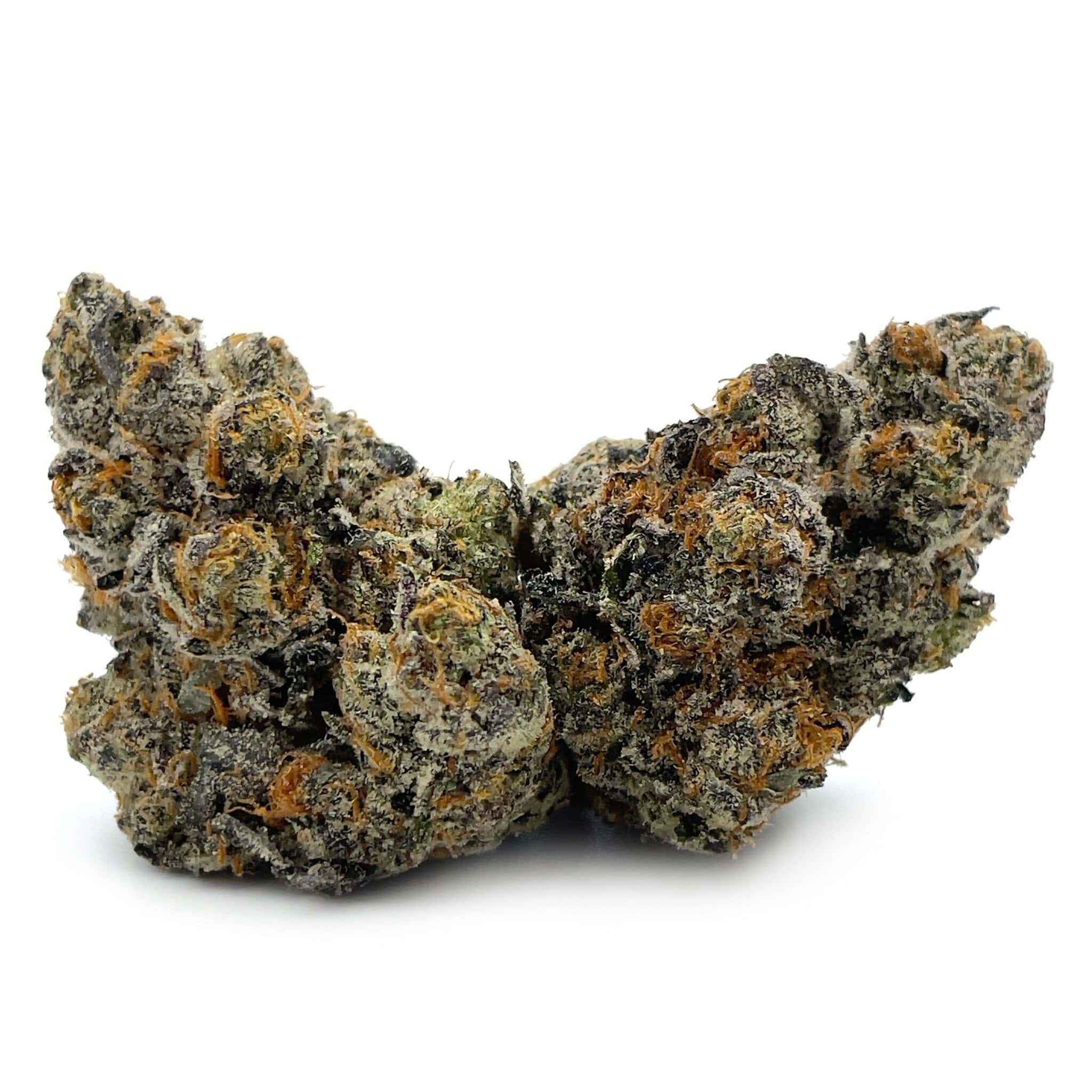 Sun Peaks Cultivation - Jokerz