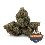 Sun Peaks Cultivation - Mochi