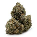 Sun Peaks Cultivation - Mochi