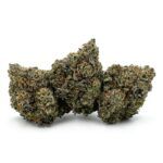 Sun Peaks Cultivation - Mochi