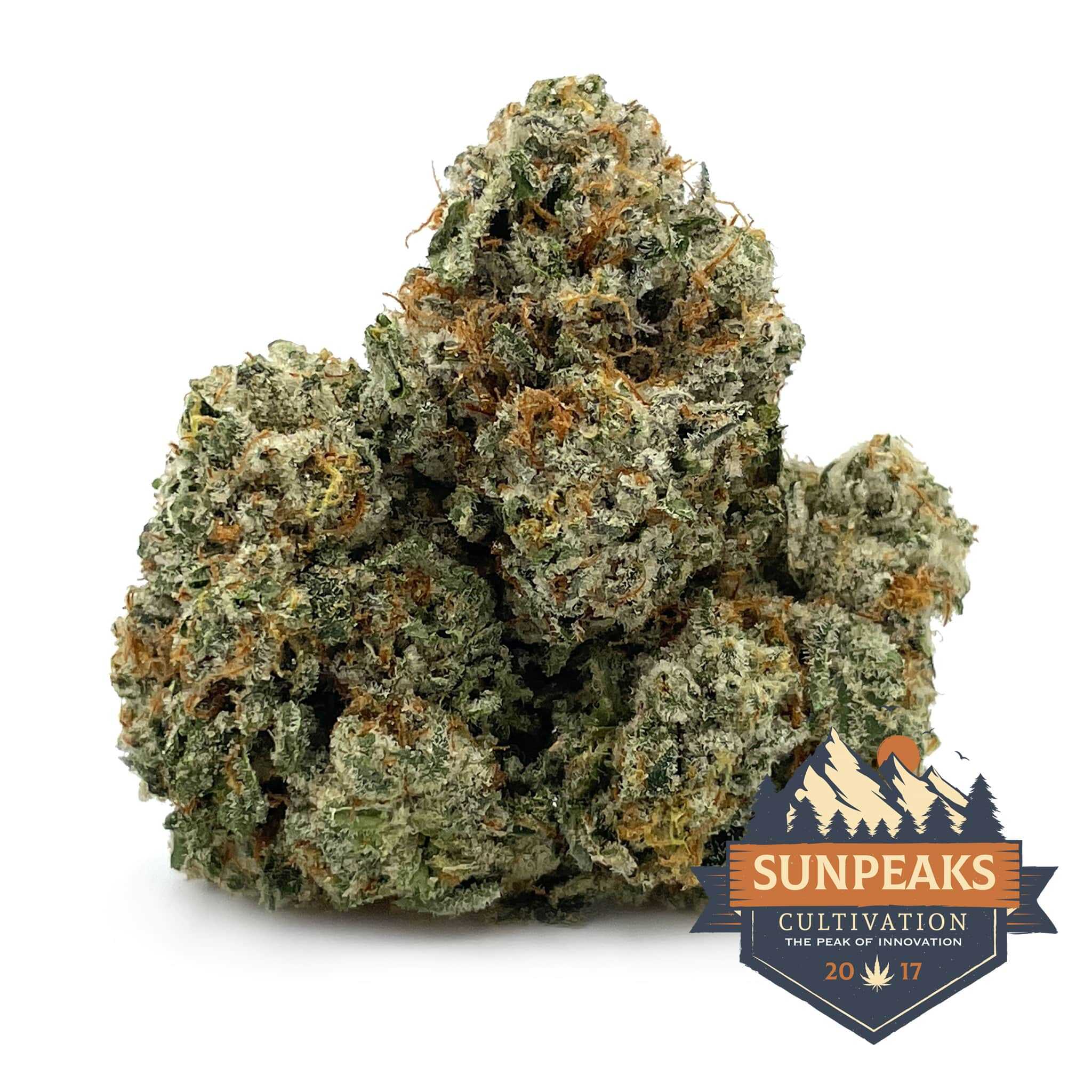 Sun Peaks Cultivation - Orange Creamsicle