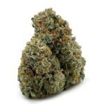 Sun Peaks Cultivation - Orange Creamsicle