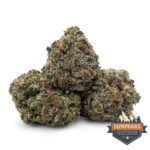 Sun Peaks Cultivation - Platinum Blackberry