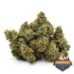 Sun Peaks Cultivation - Strawberry Guava