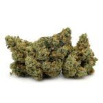 Sun Peaks Cultivation - Strawberry Guava