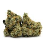 Sun Peaks Cultivation - Strawberry Guava