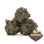 Sun Peaks Cultivation - Tahoe OG