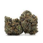 Sun Peaks Cultivation - Tahoe OG