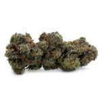 Sun Peaks Cultivation - Tom Ford