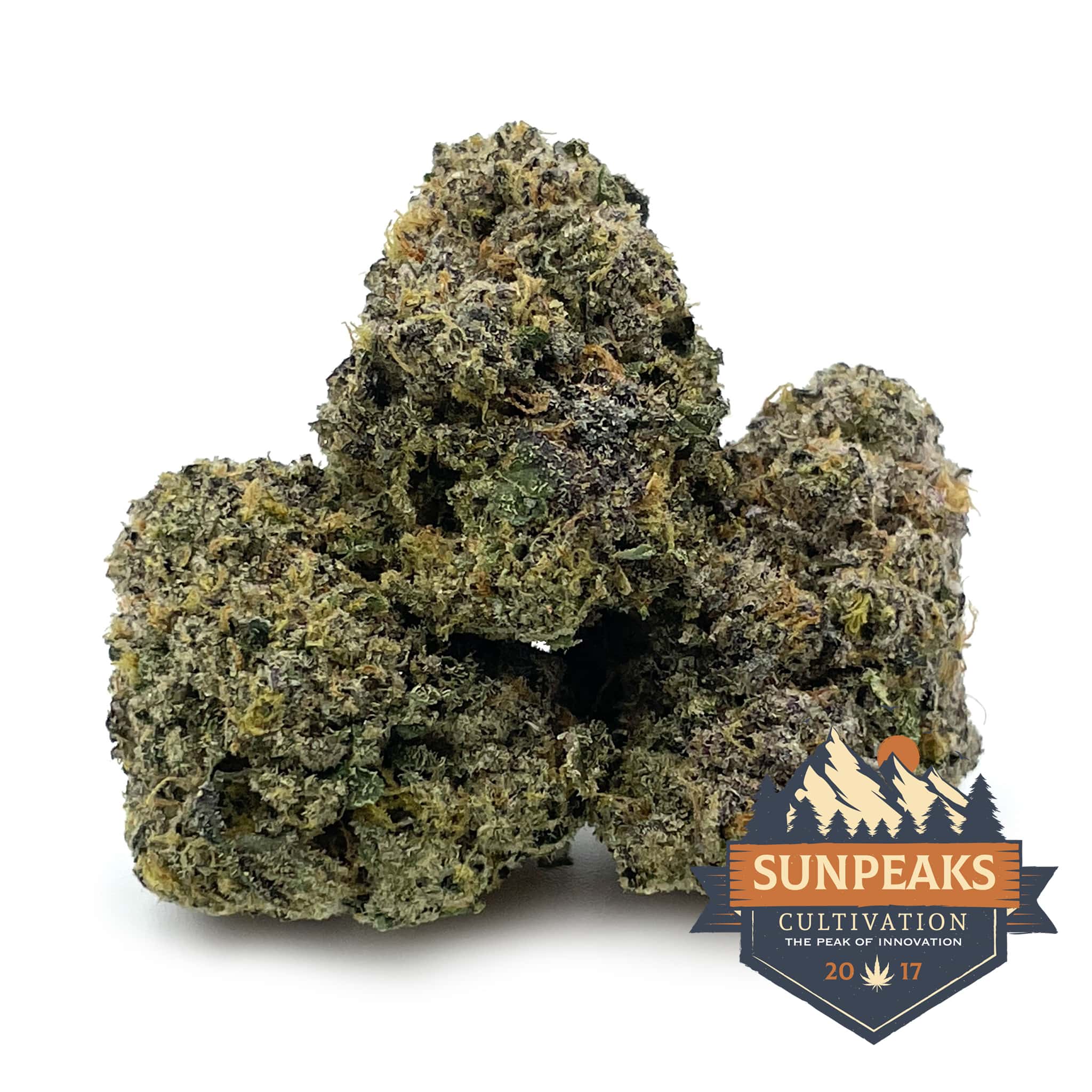 16　Sunshine leaves ZX850 Rechargeable Battery | COAST: Innovative LED Flashlights and