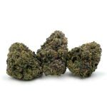 Sun Peaks Cultivation - Zkittlez x Sherbet