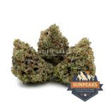 Sun Peaks Cultivation - Jet Fuel