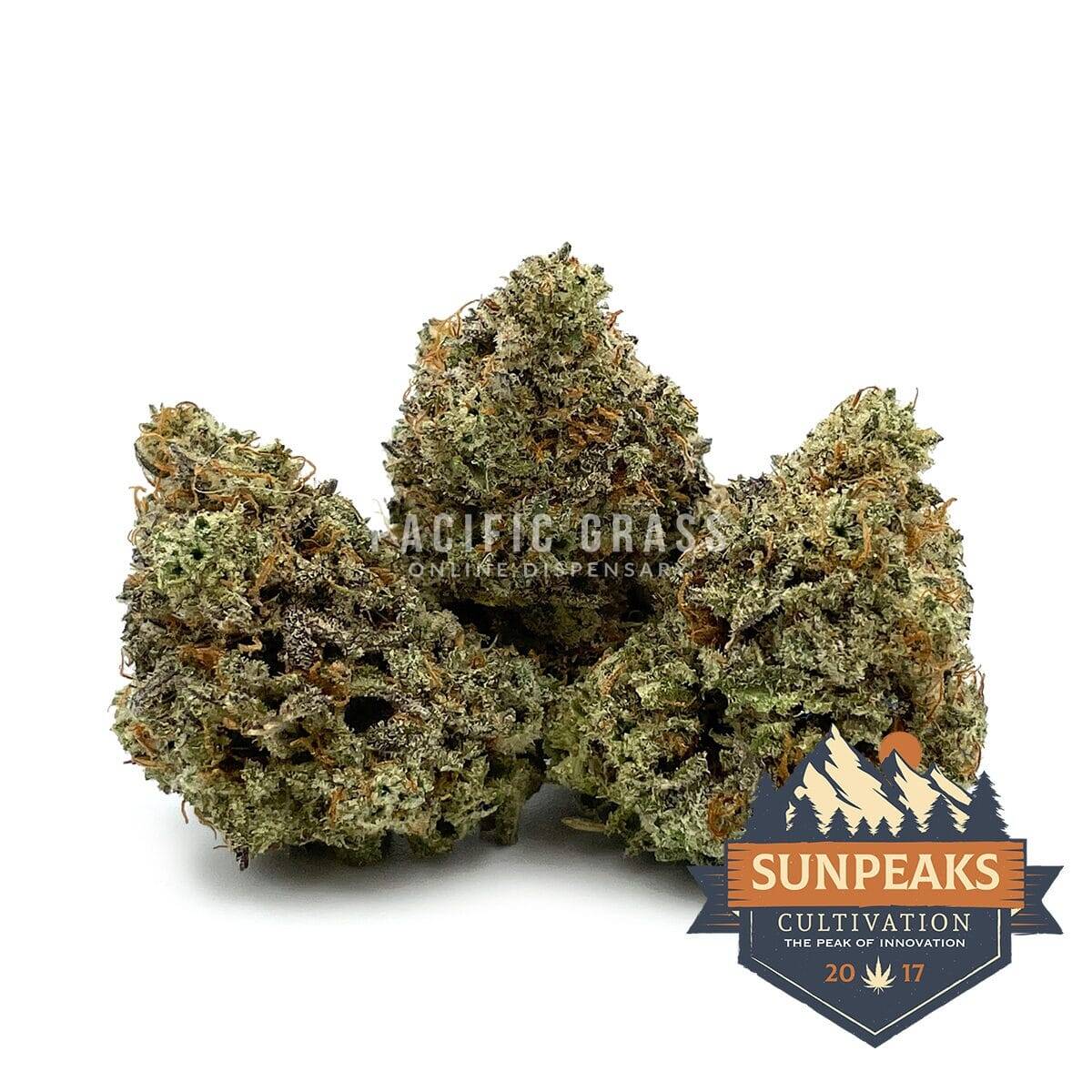 Sun Peaks Cultivation - Jet Fuel