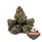 Sun Peaks Cultivation - Grape Pie Smalls