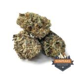 Sun Peak Cultivation - God's Green Crack - AAAA